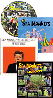 Sea Monkeys